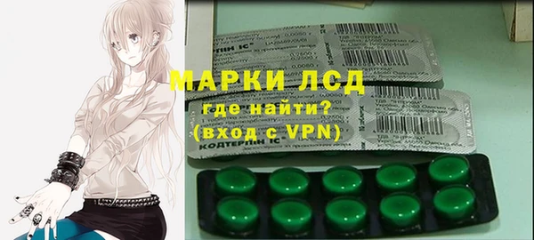 ECSTASY Алзамай